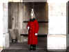Londres_v43_Horse_Guard.jpeg (31859 octets)
