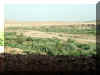 Maroc_2007_Ait-Benhaddou_108.JPG (56084 octets)