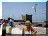 Maroc_2007_Essaouira_375.JPG (49420 octets)