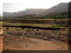Maroc_2007_Haut-Atlas_254.JPG (65764 octets)