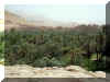 Maroc_2007_Todgha_195.JPG (67169 octets)