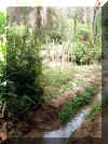 Maroc_2007_Todgha_206.JPG (104579 octets)