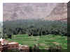 Maroc_2007_Todgha_214.JPG (79108 octets)
