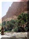 Maroc_2007_Todgha_226.JPG (80622 octets)