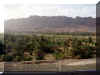 Maroc_2007_Vallee Draa_172.JPG (52675 octets)