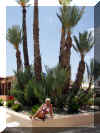 Marrakech_2009_Club Marmara_064.JPG (71224 octets)