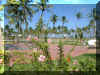 Punta_Cana_09.jpg (108215 octets)