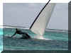 Punta_Cana_2006_JP_Voile_GO_05.JPG (53441 octets)