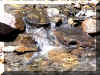 Ruisseau.jpeg (109080 octets)