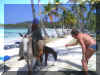 Samana_2008_Animaux_C034.JPG (97339 octets)