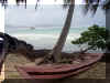 Samana_2008_Las Galeras_029.JPG (62614 octets)