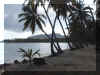 Samana_2008_Las Galeras_174.JPG (59509 octets)